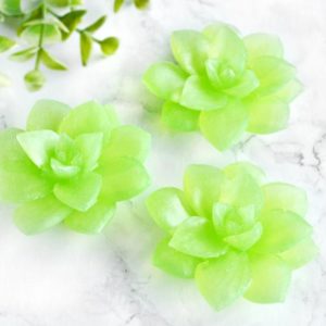 Grønn sukkulentsåpe med sukkulent duft
