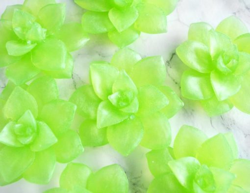 Grønn sukkulentsåpe med sukkulent duft